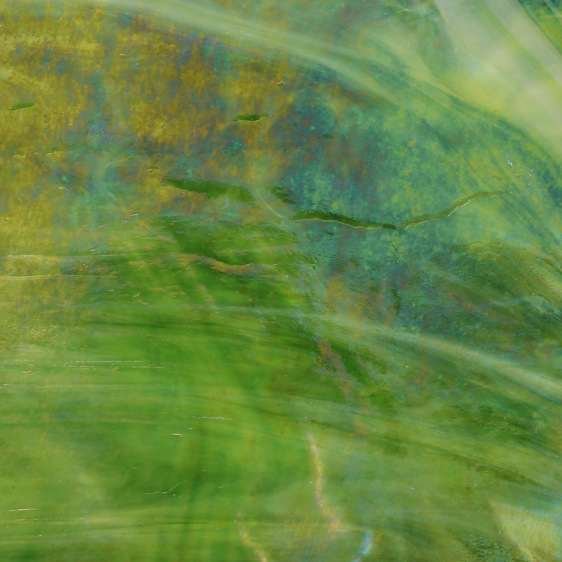 Dark Green Wispy Opal Iridized Stained Glass Sheet Wissmach WO101IR Green Swirled Iridescent Art Glass at Bradstreet Glass