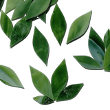 Precut Stained Glass Green Leaves, Mosaic Greenery, Package of 20 Glass Pieces