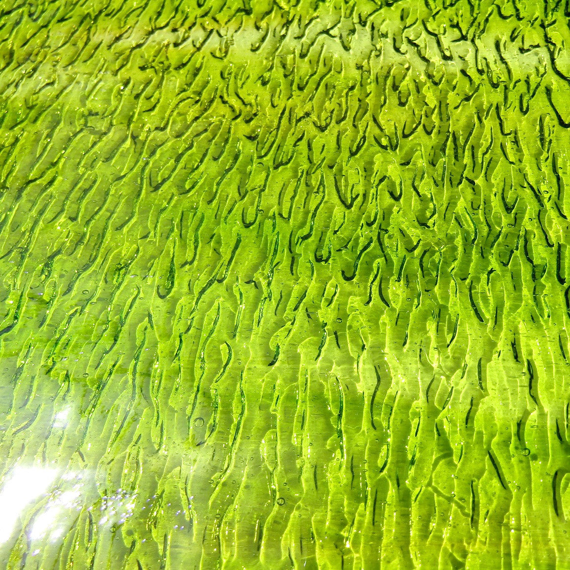 Wissmach Amber Green Crystal Clear Streaky Granite WI 55LL G